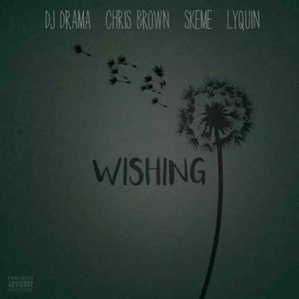 DJ Drama - Wishing (ft. Chris Brown, Skeme & Lyquin)